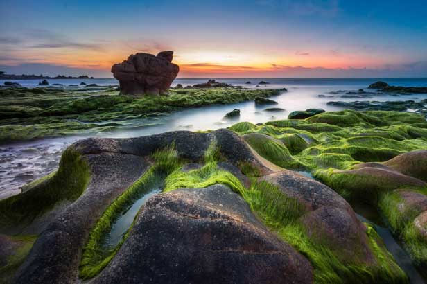 Bãi biển Cổ Thạch đẹp tựa tiên cảnh khi bị rêu phủ