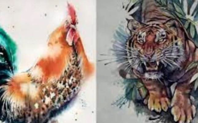 Phật Bà chỉ điểm những con giáp nữ ‘nhất dạ đế vương’, có thể giàu có vượt bậc từ tuổi 35, luôn được chồng chiều chuộng