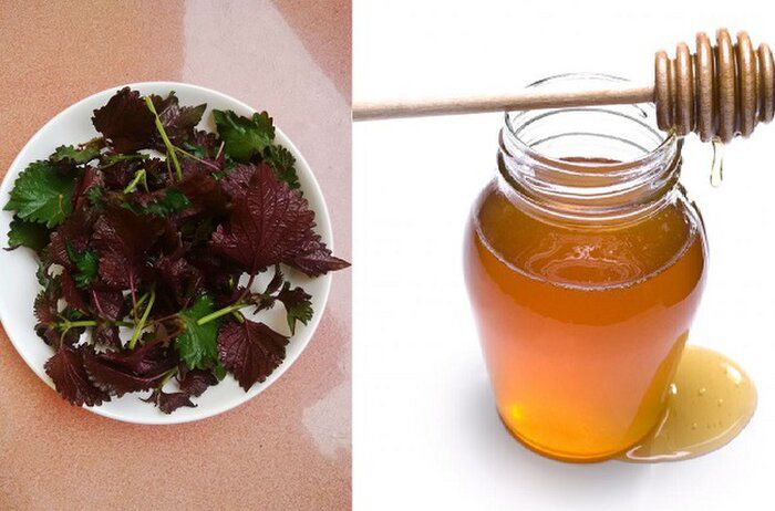 3 cách cải lão hoàn đồng cho làn da bằng lá tía tô chị em cần biết