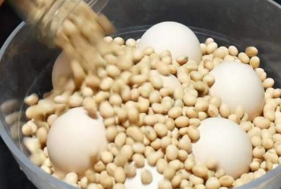 Quét thứ này lên trứng bảo quản được lâu mà không cần tủ lạnh