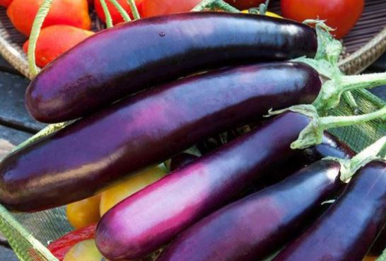 Mua cà tím đừng chọn quả tím ngắt, dựa vào điểm này biết ngay quả non mềm, ngon ngọt