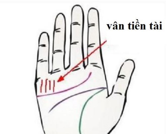 Nhìn lòng bàn tay 3 giây, thấy có 1 trong 4 đường vân này thì số giàu có, tiền tiêu cả đời không hết