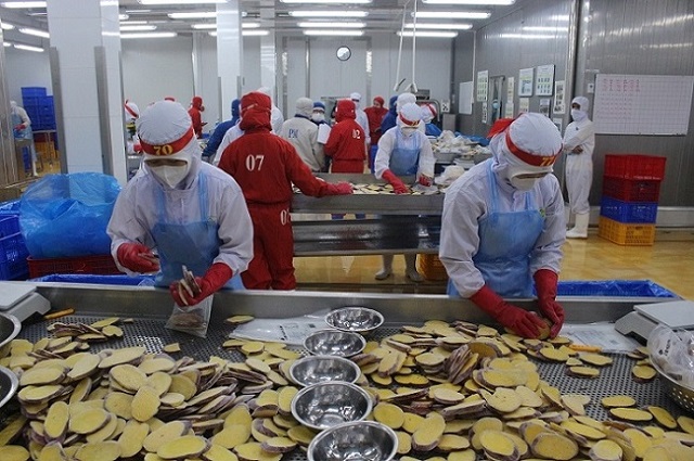 Lâm Đồng: Khen thưởng 5 doanh nghiệp tiêu biểu vì người lao động