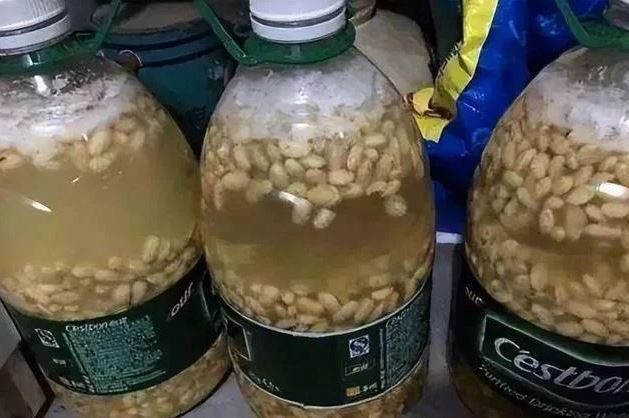 Lấy thứ này làm phân bón, cây lớn nhanh như thổi, lá xanh hoa thắm