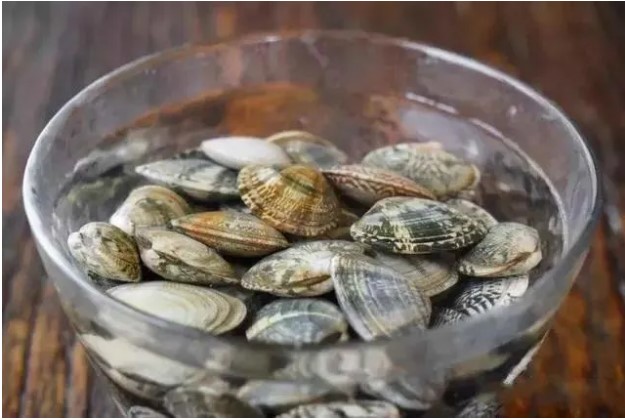 Bùn cát sẽ hết sạch chỉ trong 1 tiếng khi ngâm ngao với thứ này