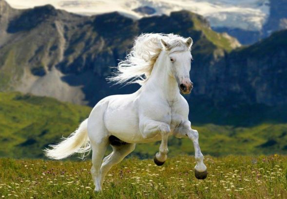 3 con giáp càng già càng giàu, hậu vận viên mãn tiền tiêu không hết