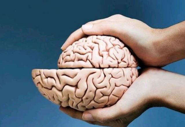 4 dấu hiệu rõ mồn một cho thấy não bắt đầu ‘teo lại’