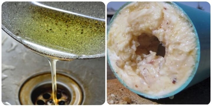 Tại sao không nên đổ dầu mỡ xuống bồn rửa? - 1