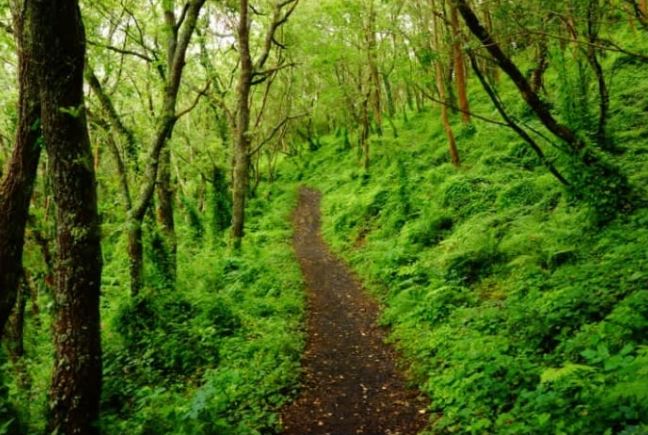 Trắc nghiệm: Con đường bạn chọn tiết lộ những đặc điểm tính cách tiềm ẩn bên trong bạn