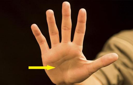 9 đường vân chỉ có trên bàn tay của phụ nữ giàu sang, ai sở hữu thì một đời hưởng phúc