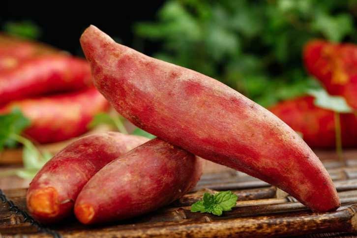 6 loại rau củ tốt nhất cho sức khỏe bạn nên bổ sung vào chế độ ăn uống