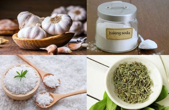 Tỏi mua về muốn để lâu không hỏng bạn hãy học ngay 5 mẹo bảo quản này