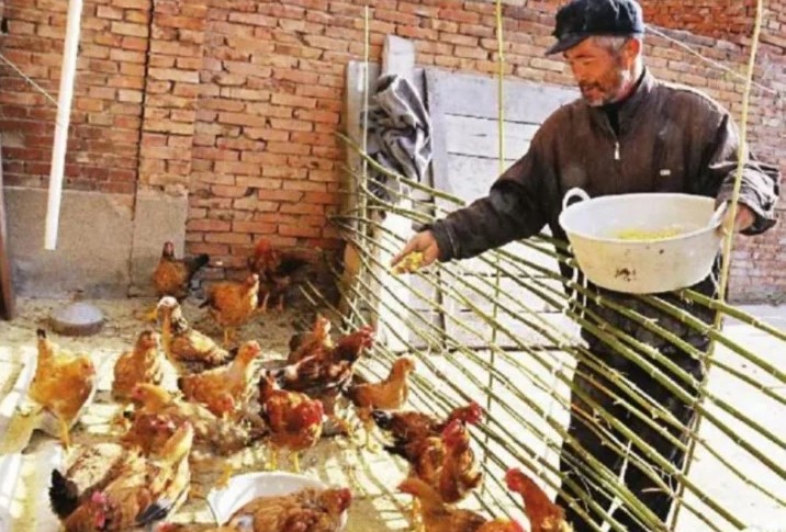 Ông lão nhặt được hũ gốm, mang về 'làm chậu cho gà ăn', ai ngờ là bảo vật vô giá 