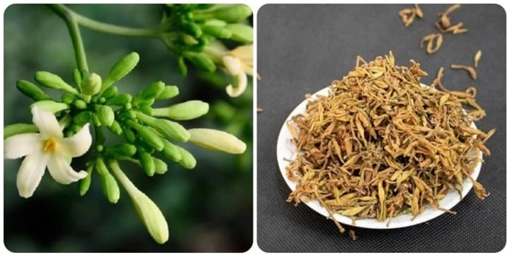 Tác dụng phụ của hoa đu đủ đực nếu dùng sai cách - 1