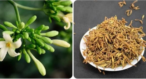 Tác dụng phụ của hoa đu đủ đực nếu dùng sai cách