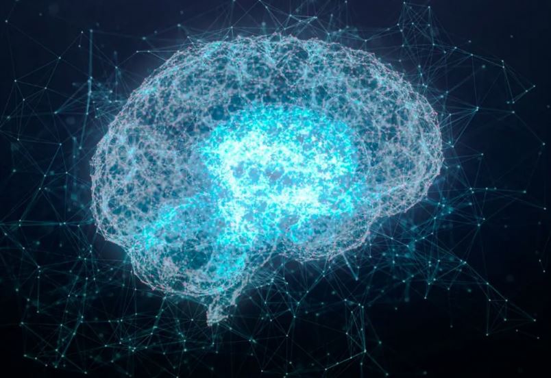 Phát hiện hiếm hoi hoạt động não bộ ở người đang chết tiết lộ về trải nghiệm cận tử