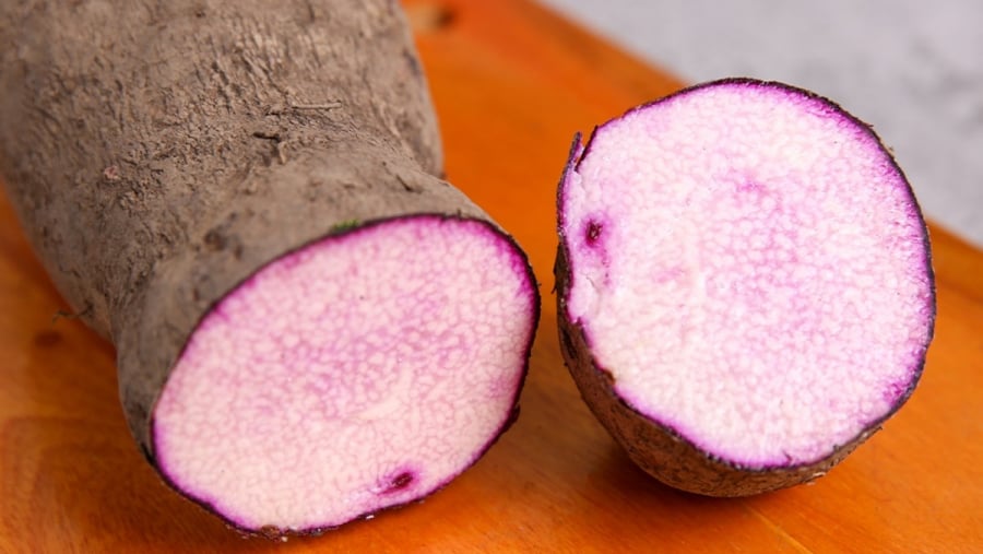 Chọn mua khoai môn lấy củ nặng hay nhẹ tay, người trồng mách 4 mẹo chọn 10 củ ngon như 10