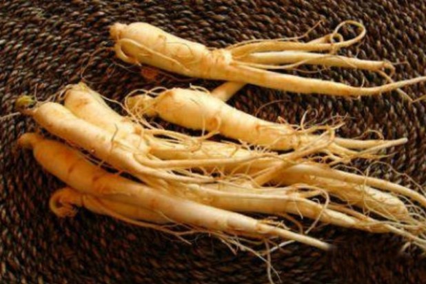 Có nên uống trà sau khi dùng nhân sâm