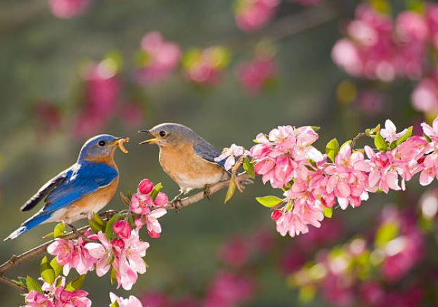 Phụ nữ sinh tháng Âm lịch này có thể vừa giỏi vừa đảm, đàn ông may mắn mới lấy được làm vợ