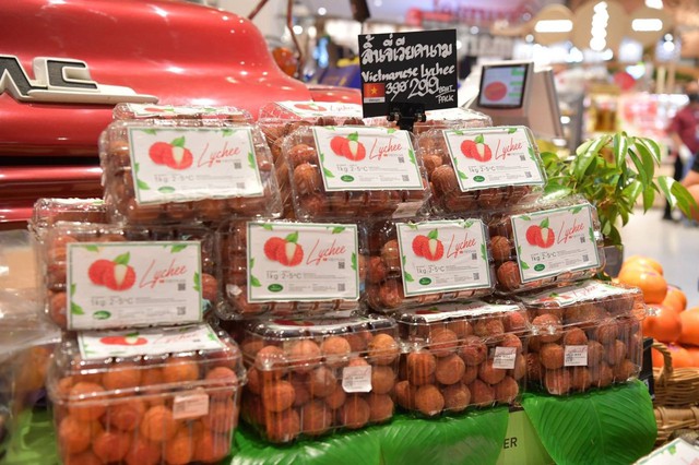 Vải thiều Bắc Giang được xuất khẩu chính ngạch sang thị trường Thái Lan