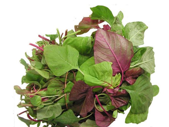 15 thực phẩm hàng đầu hỗ trợ điều trị tiểu đường hiệu quả nhất