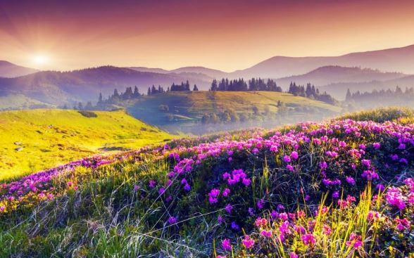 Sau cơn mưa trời lại rạng, người sinh ngày Âm lịch này sau khó khăn sẽ gặt hái lớn