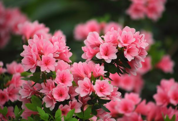 Người sinh khung giờ này có thể mang số mệnh vàng mười, được định sẵn giàu sang phú quý