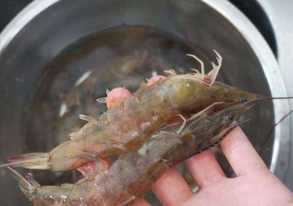 Ra chợ mua tôm thấy 4 loại này rẻ mấy cũng tránh xa, ai cũng nên biết