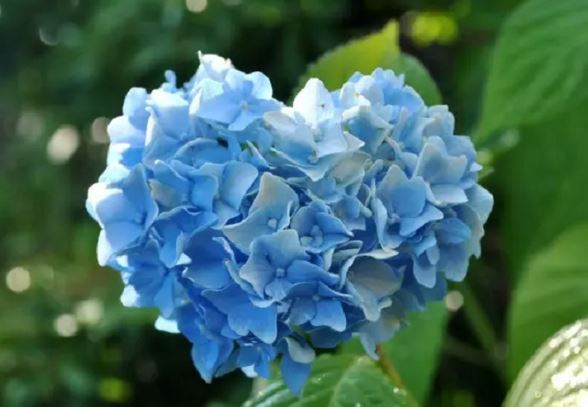 Phụ nữ sinh 5 ngày Âm lịch này vượng phu ích tử, tình duyên hạnh phúc