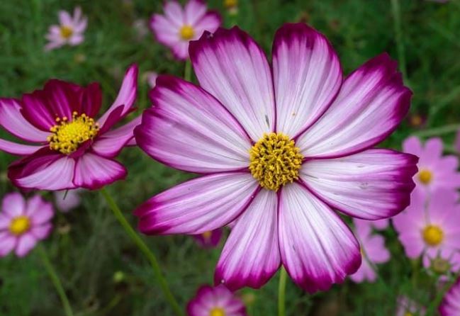 Người sinh tháng Âm lịch này cả đời thuận buồm xuôi gió, giàu có trong tầm tay