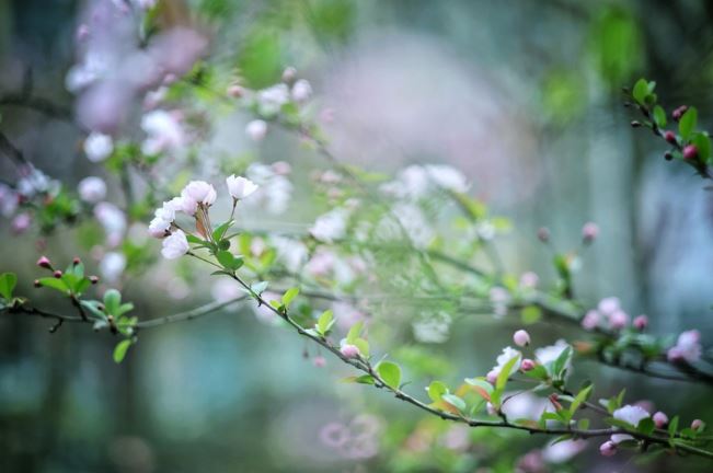 Người sinh nhằm 4 tháng Âm lịch này giàu trước tuổi trung niên, hậu vận hưởng phúc