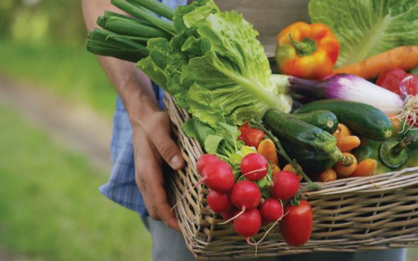 2 món không ăn – 3 món ăn nhiều: Người viêm mũi dị ứng nên ghi nhớ