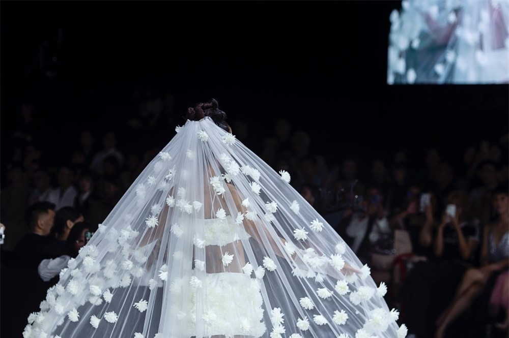 Nội dung chú thích ảnh