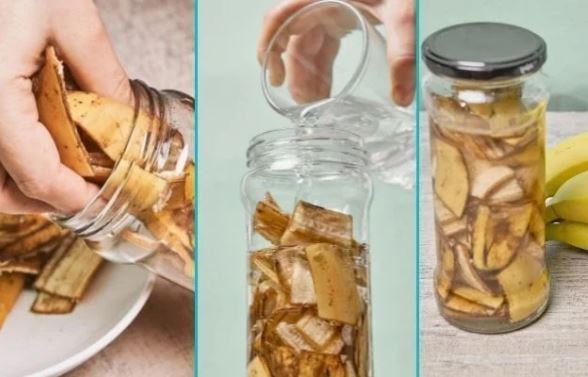 Chuối thối hỏng đừng vội vứt đi, làm theo cách này chuối càng thối càng có giá