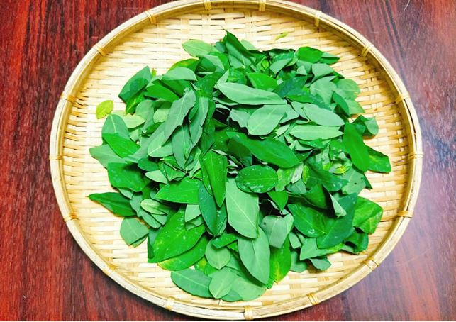 Rau ngót mua về nhanh héo, làm theo cách này để 1-2 tuần vẫn tươi ngon