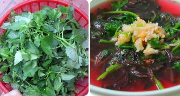 Đi chợ gặp 4 loại rau bổ hơn thịt, rẻ hơn thuốc, vừa ngon vừa bổ, nhớ mua ngay