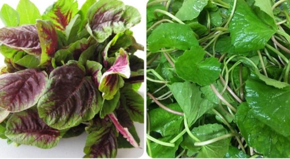 8 loại rau thải độc gan cực tốt, ăn vào đỡ táo bón, giá chỉ bằng cốc trà đá