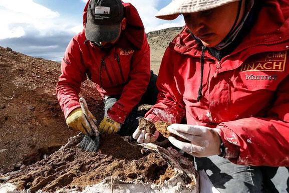 Quái thú 1 tấn "trên trời rơi xuống", giới khoa học bối rối