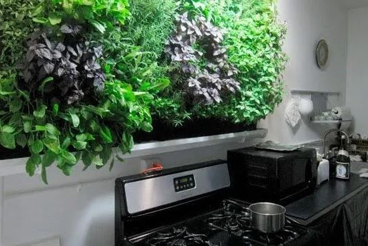 Bếp đại diện cho vận may, muốn tài lộc hưng thịnh nhớ thêm 4 điều này