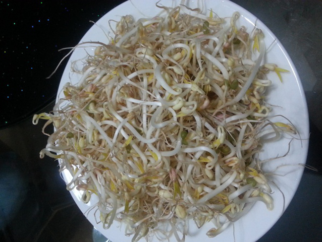 Nên ăn giá đỗ sống hay chần qua nước sôi để thu được nhiều lợi ích và đảm bảo sức khỏe?