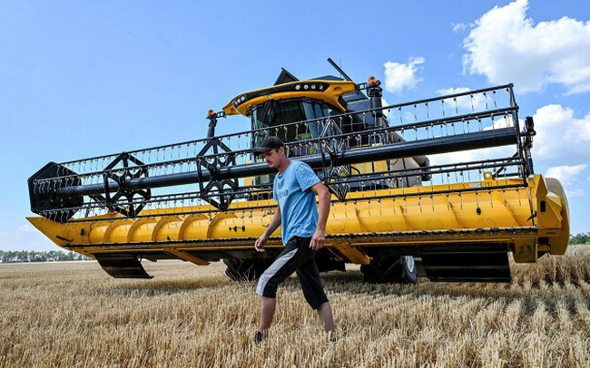 Giá lúa mì tăng sau khi Nga rút khỏi thỏa thuận ngũ cốc
