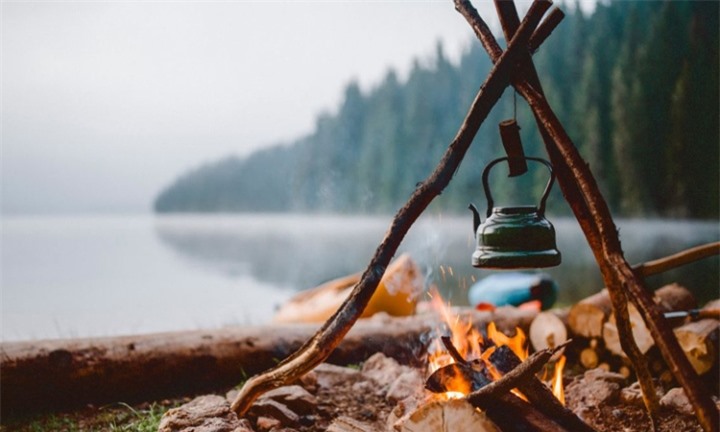 Thông thừa, khi đốt cháy, gỗ sẽ rất dễ bắt lửa, còn kim loại thì không.