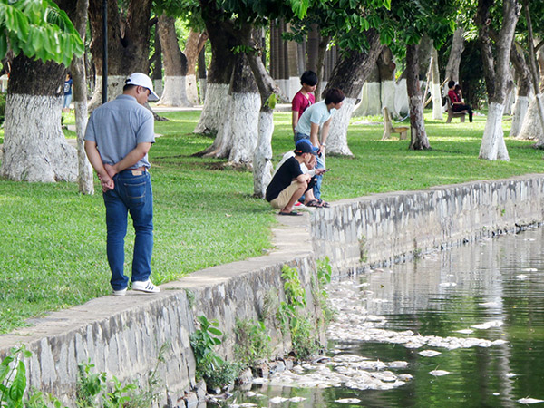 Đà Nẵng duyệt gần 1.100 tỷ đồng đầu tư công viên, trung tâm hành chính