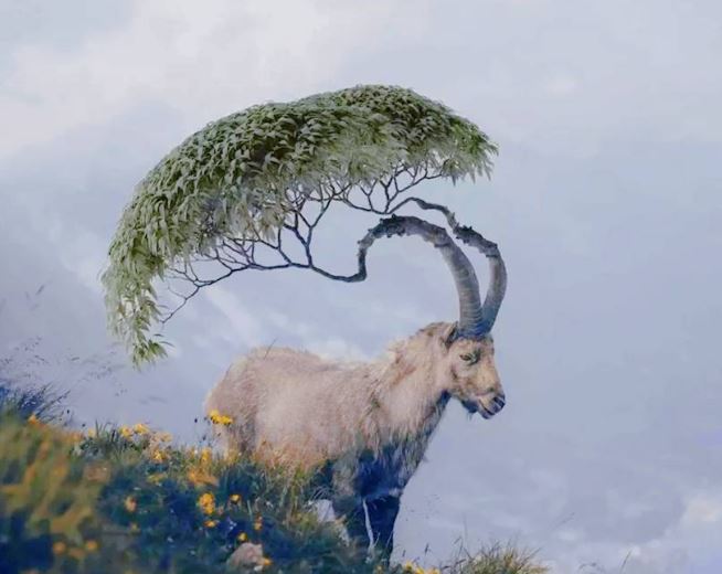 Trắc nghiệm: Thứ bạn nhìn thấy đầu tiên tiết lộ khả năng tiềm ẩn của bạn