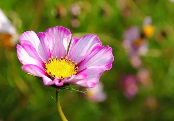 3 số cuối ngày sinh âm lịch của người ở hiền gặp lành, hậu vận viên mãn