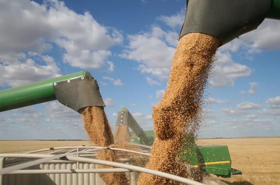 Italia cho biết 95% ngũ cốc Ukraine không đến châu Phi