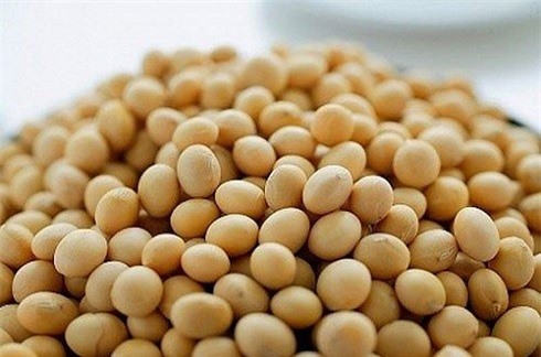 Cách đánh bay mùi hôi chân khi đi giày vào mùa hè ảnh 5