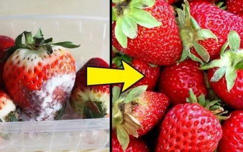 Bỏ quả táo vào rổ khoai tây, rửa dâu tây với giấm: Loạt mẹo vặt hữu ích ai cũng cần