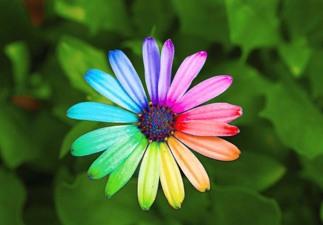 Trẻ sinh ngày này dễ sở hữu tướng mạo đẹp như hoa, lớn lên là quý chân của cha mẹ