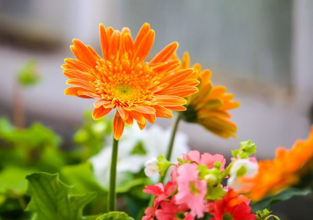 Người sinh ngày Âm lịch này có quý nhân chống lưng, sự nghiệp ngày càng thăng tiến